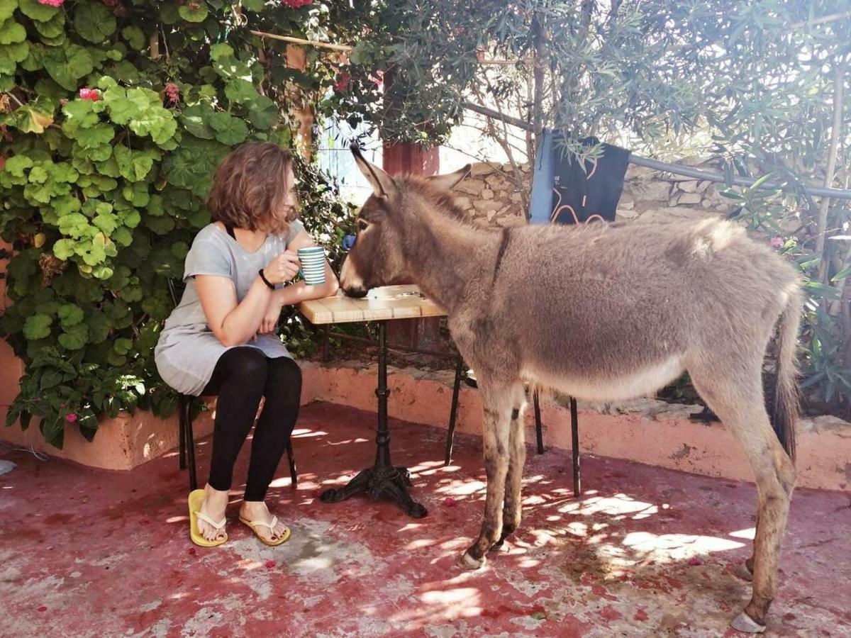 Surf Housemaroc Hostel Essaouira Luaran gambar