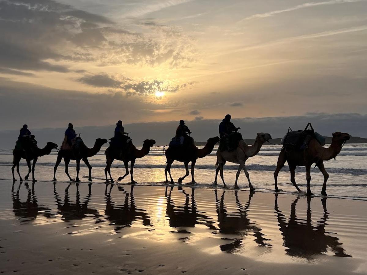 Surf Housemaroc Hostel Essaouira Luaran gambar