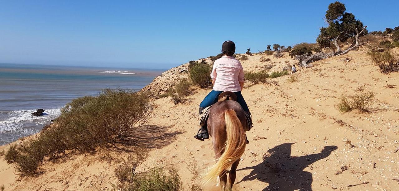 Surf Housemaroc Hostel Essaouira Luaran gambar