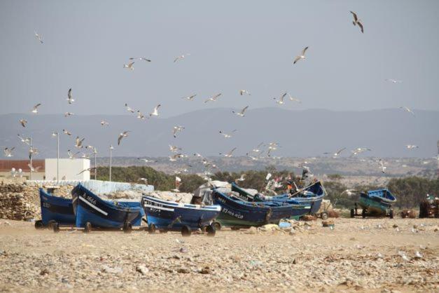 Surf Housemaroc Hostel Essaouira Luaran gambar