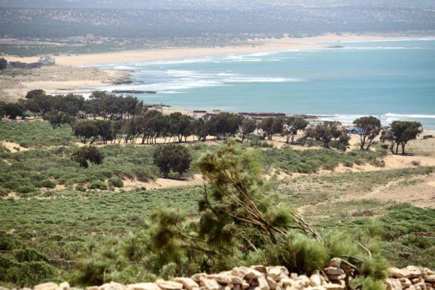 Surf Housemaroc Hostel Essaouira Luaran gambar